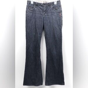 Silver Jeans Blue Flare Wide Leg Denim